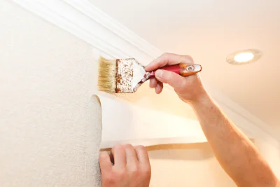 Pose de papier peint à Poil — revêtements muraux et toiles de verre
